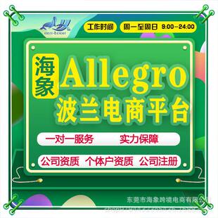 海象allegro代入驻欧洲波兰通过率高申请注册代办本土店