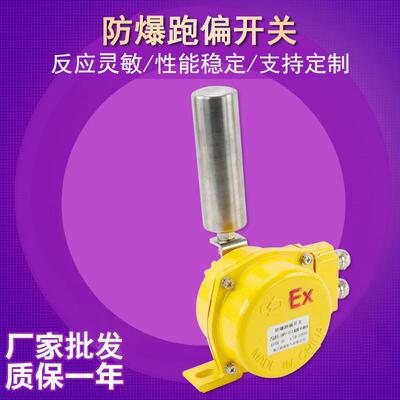 两极防爆跑偏开关EXKPT1-20-35带接线盒防水I防尘防偏检测