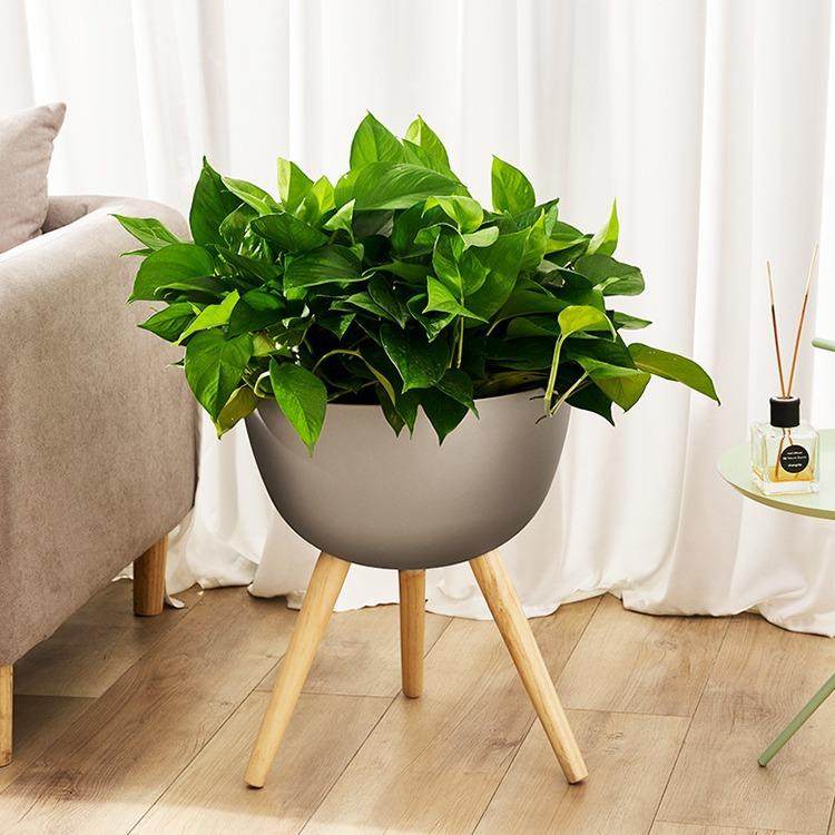 莱之秀懒人自吸水花盆圆形塑料带脚落地北欧懒人自吸水花盆,农用物资,其他肥料,淘宝优惠券,粉丝福利购,淘宝优惠卷