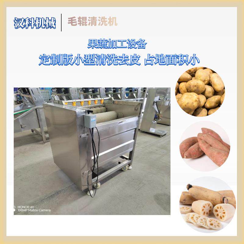 海参加工去杂清洗机马蹄去泥沙毛刷清洗机土豆清洗去皮设备