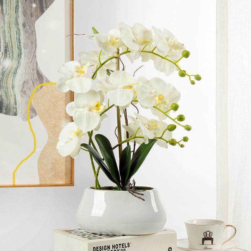手感蝴蝶兰盆栽带花盆客厅插花假花餐桌摆设过年花摆件明明微,农用物资,其他肥料,淘宝优惠券,粉丝福利购,淘宝优惠卷