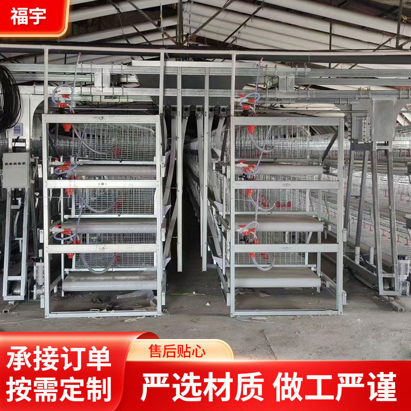 全自动大层叠蛋鸡笼养鸡场蛋鸡养殖设备自动化养殖笼具厂家供应