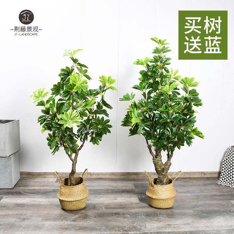 仿真招财树大型室内绿植鸭脚木落地盆栽书房客厅商场橱窗装饰摆件