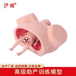 沪模HM/F8助产训练模型孕妇难产分娩示教学模具妇产科培训模型