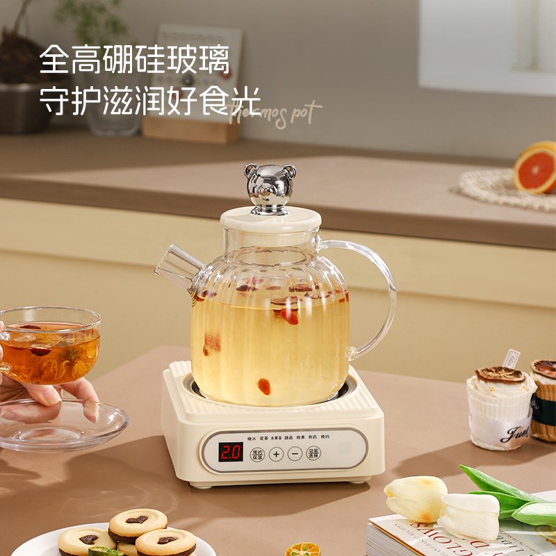 全玻璃煮水壶迷你养生壶家用多功能烧茶壶办公室小型煮茶器花茶壶