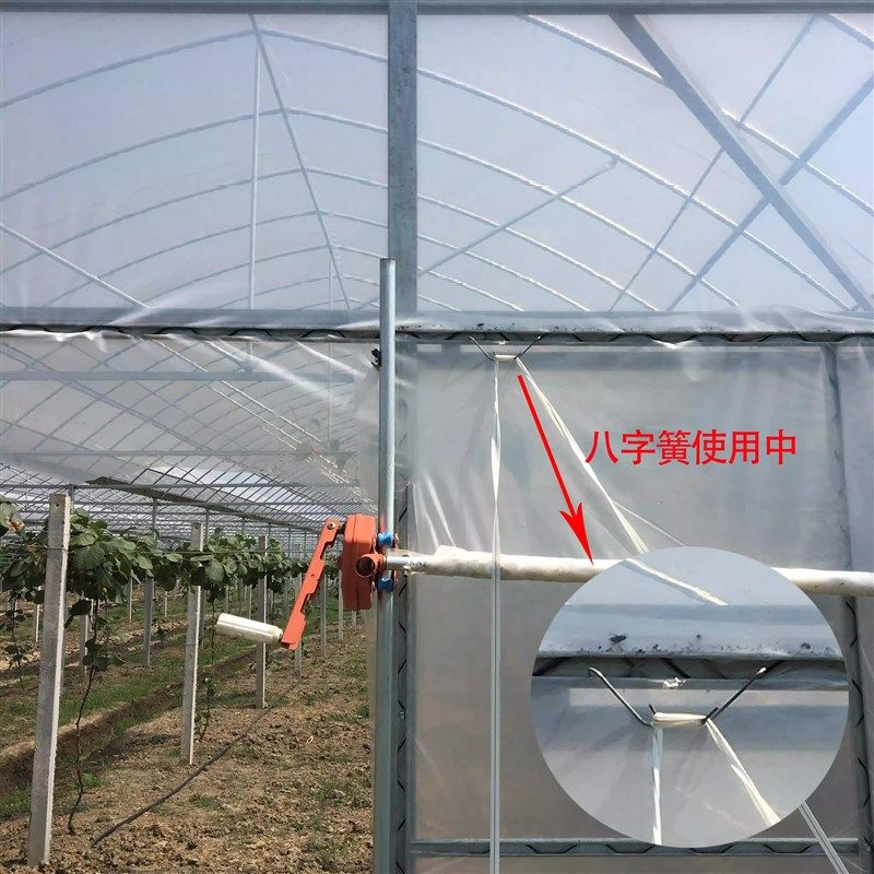 50个包邮大棚配件卡槽压膜绳挂钩镀锌黑色引线簧八字簧膜扣绳双钩,农机/农具/农膜,大棚压膜绳/压膜线,淘宝优惠券,粉丝福利购,淘宝优惠卷