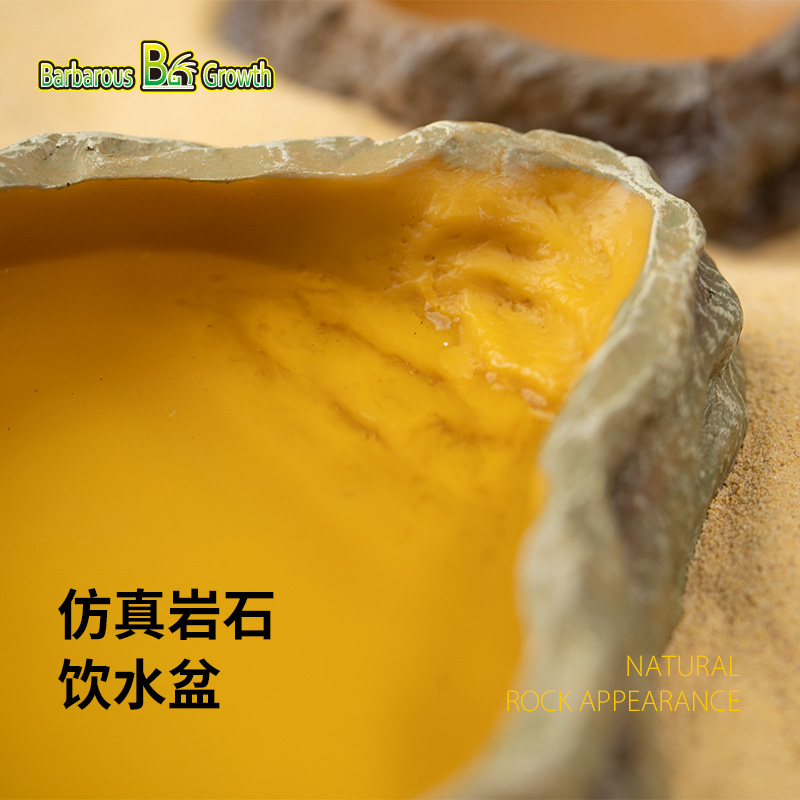 爬宠仿岩石造型食盆水盆爬虫蜥蜴陆龟角蛙守宫夜光喂食饮水器