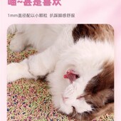 遇见怪兽彩虹豆腐猫砂20斤桶装 除臭因子吸水结团不沾底无尘可冲厕