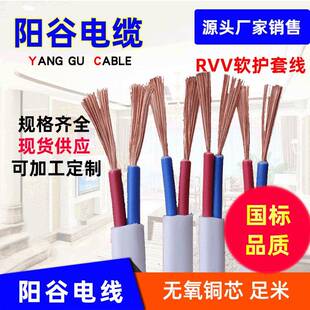 供应阳谷电线RVV护套线2*2.5平方铜芯家装用两芯护套电源线