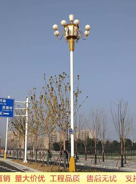 6米8米10米9火中华灯市政工程广场公园大型路灯LED景观灯道路照明