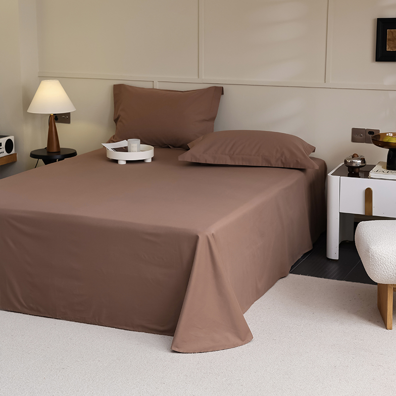 2023年新款秋冬100支全棉磨毛床单单件 高支加厚纯棉被单三件套