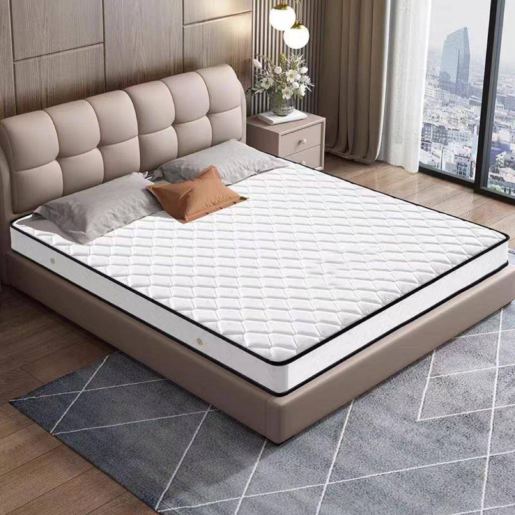 椰棕软床垫180200家庭.用卧室x1米5垫18出租房专用26020cm加厚