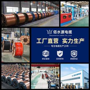 1KV多股无氧铜阻燃工程用电6 2芯0. 国标电缆Z通CY JV22铜芯3991