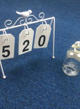 蓝色大面积拍照房间地垫卧满室全屋纯色TET形通i铺客厅地毯铺n圆s