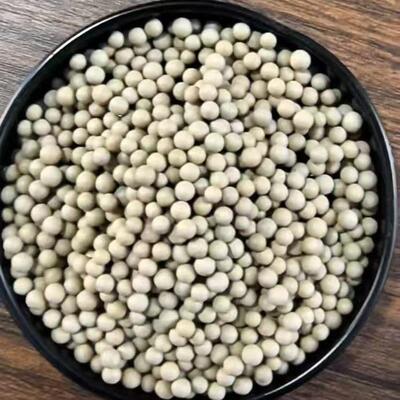 粪菌改改底颗硫粒水产养殖净化水除质抑菌良水质池塘藻XYR-0998净