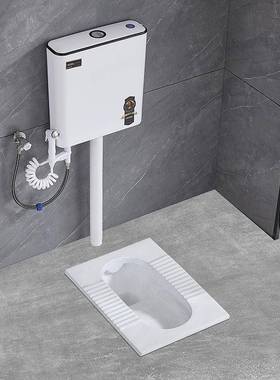 家用陶蹲便器冲水箱整套装卫生间大瓷池便82953器便厕所坑式防蹲