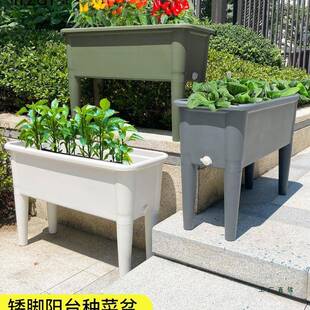 种菜箱专箱菜蔬种植种菜F976897H神器家庭用阳台爬藤花箱高脚花盆