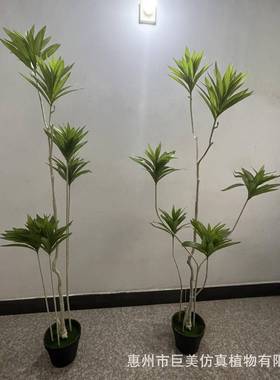 仿真绿植竹百合竹室内jm231124装饰造百景合血树仿真龙舌兰龙植物
