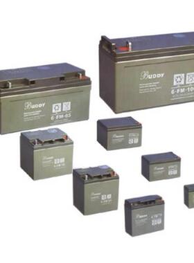 宝迪蓄电池6-FMJ-1712V17Ah不间断电源电瓶