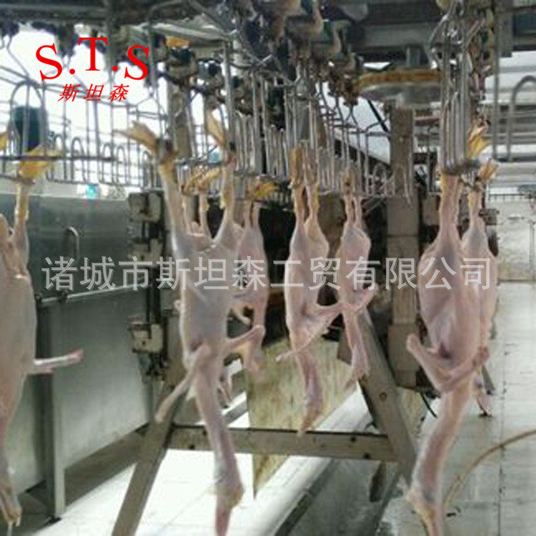 H鹅屠宰脱毛效果好的家禽屠宰设备厂家 鹅自动屠宰线 杀鹅设备