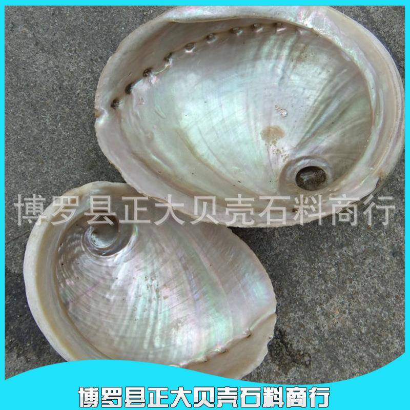 供应澳洲白鲍贝壳首饰挂件原材料首饰贝壳质量保证