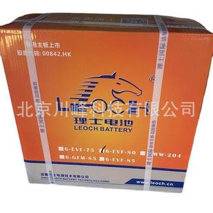 安徽理士蓄电池6 85铅酸蓄电池适用于电动轿车 GFM