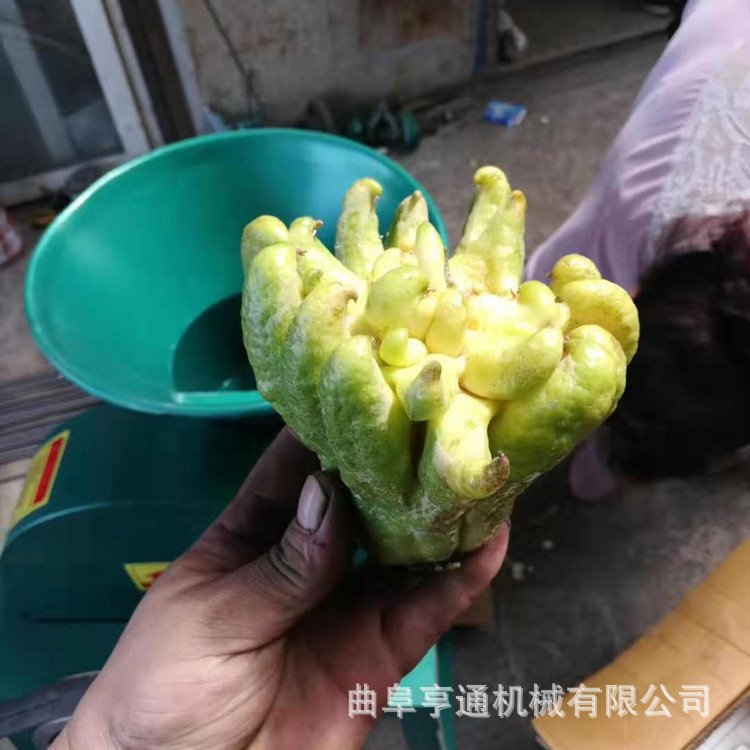 供应佛手切片机家用电动红薯切片机厚度可调节木薯切片机