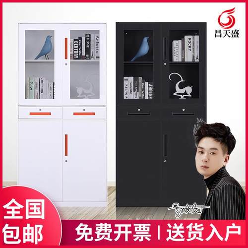 文件柜钢制资料柜铁皮柜办公室带锁收纳储物书柜财务凭证档案柜
