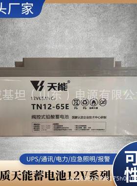 天能蓄电池TNL12-100系列高压直流设备轨道交通系统大电流放电储