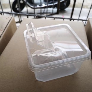 40个一箱蜘蛛饲养盒昆虫爬宠饲养盒YC大方盒透明饲养盒饲养箱