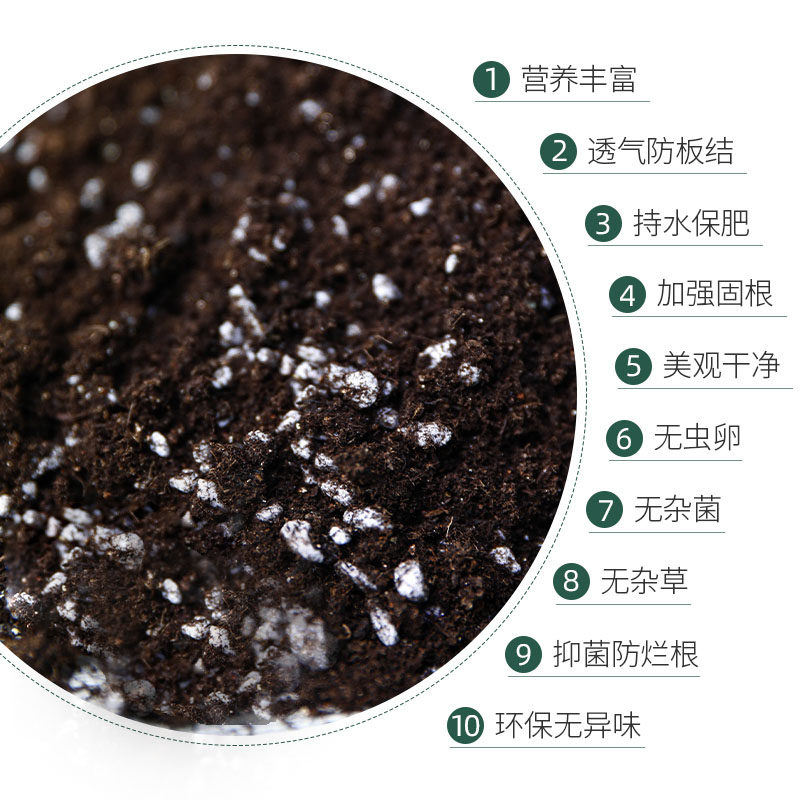 通用型种植土种菜种花有机泥炭土营养土养花土壤盆栽家用多肉花土,鲜花速递/花卉仿真/绿植园艺,介质/营养土,淘宝优惠券,粉丝福利购,淘宝优惠卷