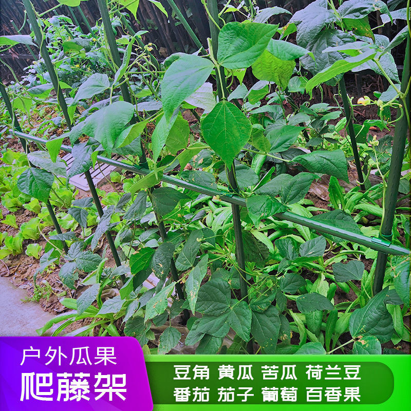 家庭种植架菜园蔬菜阳台支撑架大棚骨架户外种菜丝瓜豆角黄瓜爬藤