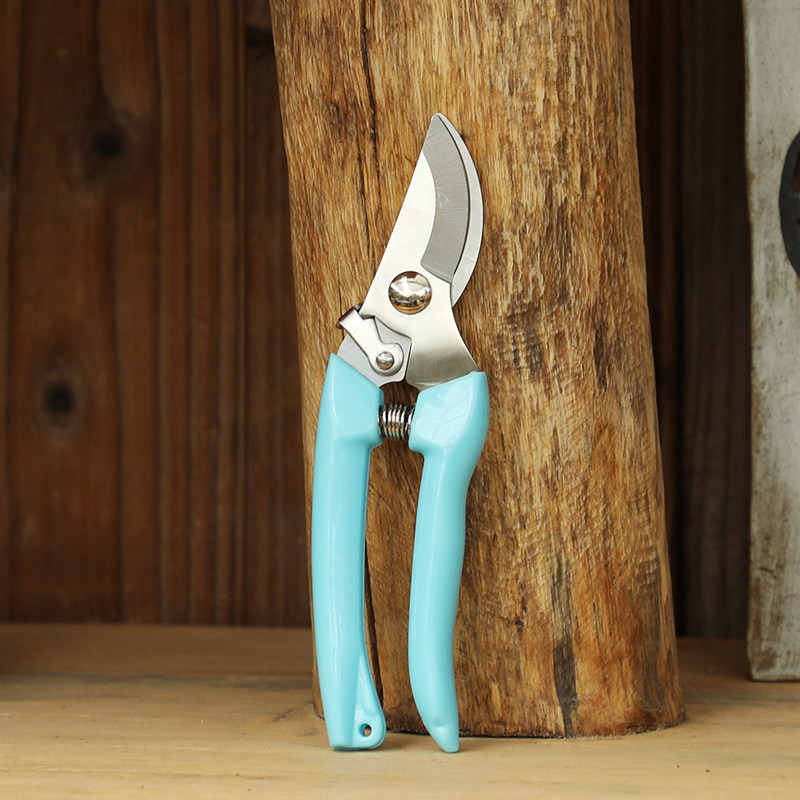 汉轩修枝剪果树植物粗枝修花园林园艺剪花树枝剪刀工具摘水果高枝,鲜花速递/花卉仿真/绿植园艺,剪刀,淘宝优惠券,粉丝福利购,淘宝优惠卷