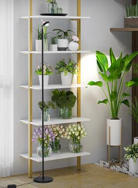 专业谱植物补光灯全光FOZ绿植生长灯室内落地仿阳多养肉花卉光太