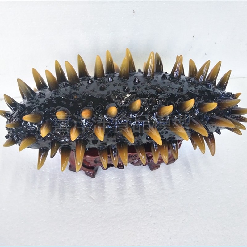 招财海参模型滋补品店铺柜台展示品装饰品送礼礼品软装饰品