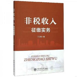 库存九成新非税收入征缴实务 9787542963833 丁正智 立信会计出版社