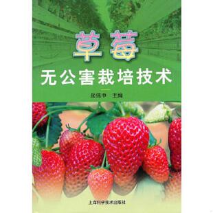 库存九成新 草莓无公害栽培技术 9787547803332 颜伟中　主编 上海科学技术出版社