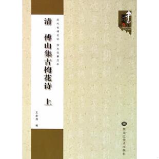 库存九成新历代名碑名帖放大临摹范本:清 傅山集古梅花诗(上下) 9787531846284 王宏昌 黑龙江美术出版社