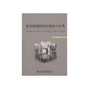 库存九成新张量数据的特征提取与分类 9787517057550 张帆,许丽,孙帅著 水利水电出版社