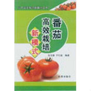 库存九成新 全新正版 北方蔬菜栽培新模式丛书 :番茄高效栽培新模式 9787508290522 张文新,于红茹编著 金盾出版社