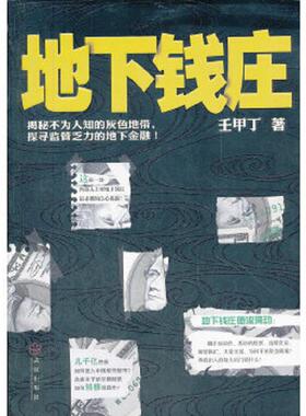 库存九成新地下钱庄 9787543063761 壬甲丁　著 武汉出版社