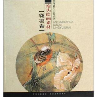 库存九成新案头绘画素材:翎羽卷 9787541039485 四川美术出版社 四川美术出版社