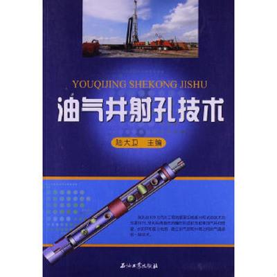 库存九成新油气井射孔技术 9787502190262 陆大卫主编 石油工业出版社