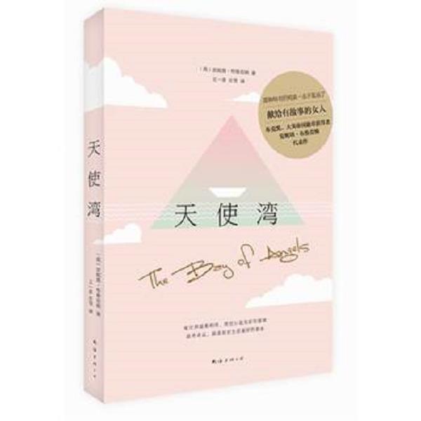 正版库存书9787544278072 天使湾 (英)布鲁克纳著,王一多,庄雪译 南海出版公司