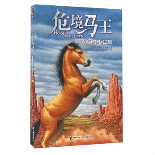 库存九成新危境马王 星星小马的时间之眼 9787544844949 【美】凯瑟琳·拉丝基 接力出版社