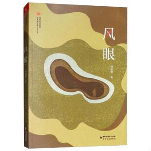 库存九成新风眼/金凤凰长篇小说丛书 9787555017004 钟而赞 海峡文艺出版社