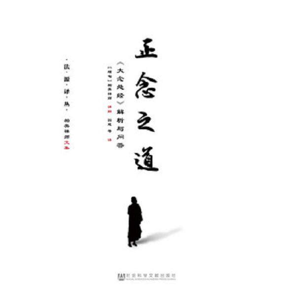 正版库存书9787509771938 正念之道:《大念处经》解析与问答 帕奥禅师园慈 社会科学文献出版社