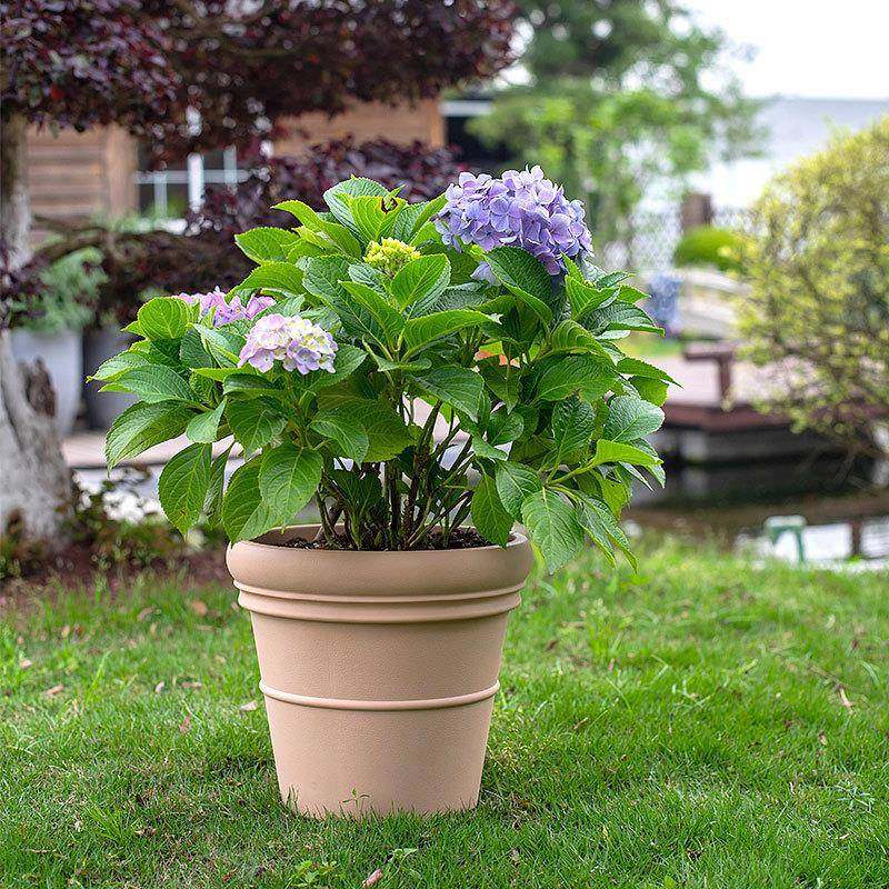 虹嘉瑞花盆38号伯月季花盆径大号塑料花盆加厚大口TFN仿越陶瓷花,家居饰品,花盆,淘宝优惠券,粉丝福利购,淘宝优惠卷