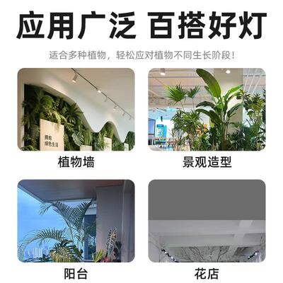 太阳景光植植物灯轨道灯全花光谱室内绿造灯卉植物生长灯MGY补光
