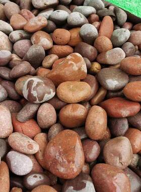 红色普抛鹅卵石红未精抛铺地铺路景鹅卵石园UMH林工程观铺设色石